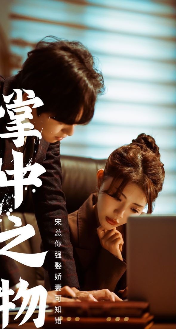 掌中之物：宋总娶娇妻可知错 第1-20集