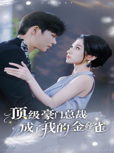 顶级豪门总裁成了我的金丝雀 第01集