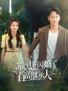 苏总您闪婚了首富继承人 第1-20集