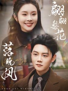 翩翩梨花落晚风 第1-20集