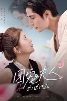 团宠夫人凶凶哒 第41-60集