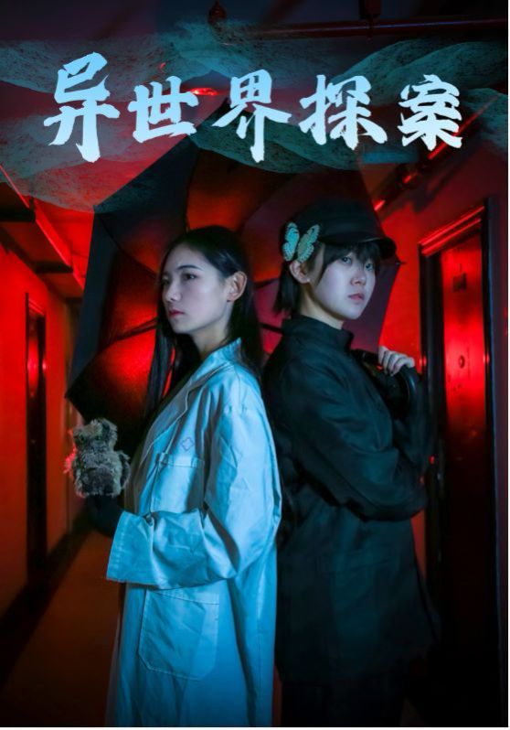 异世界探案 第21-40集完结(大结局)