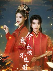 今夜红烛不见君 第21-40集