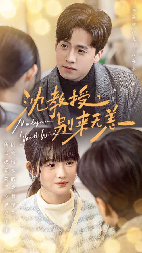 沈教授别来无恙 第1-20集