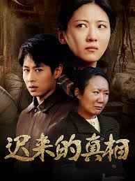 迟来的真相（因果） 第1-20集