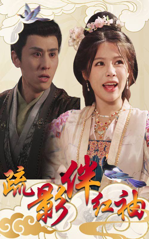 疏影伴红袖 第1-20集