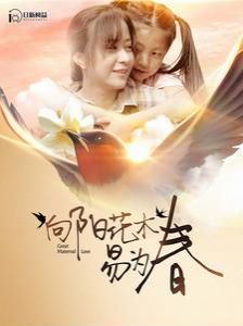 向阳花木易为春 第1-20集