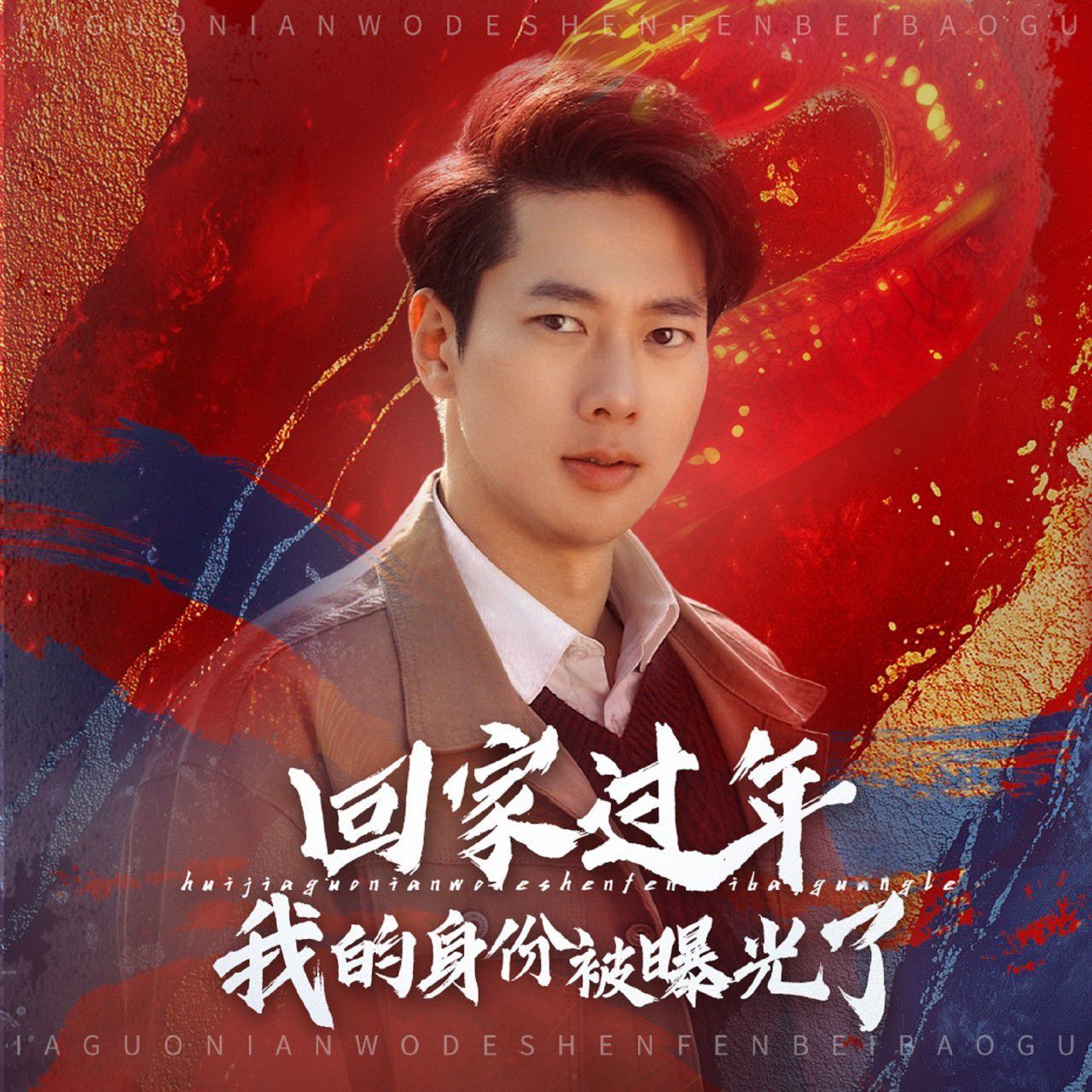 回家过年我的身份被曝光了 第1-20集