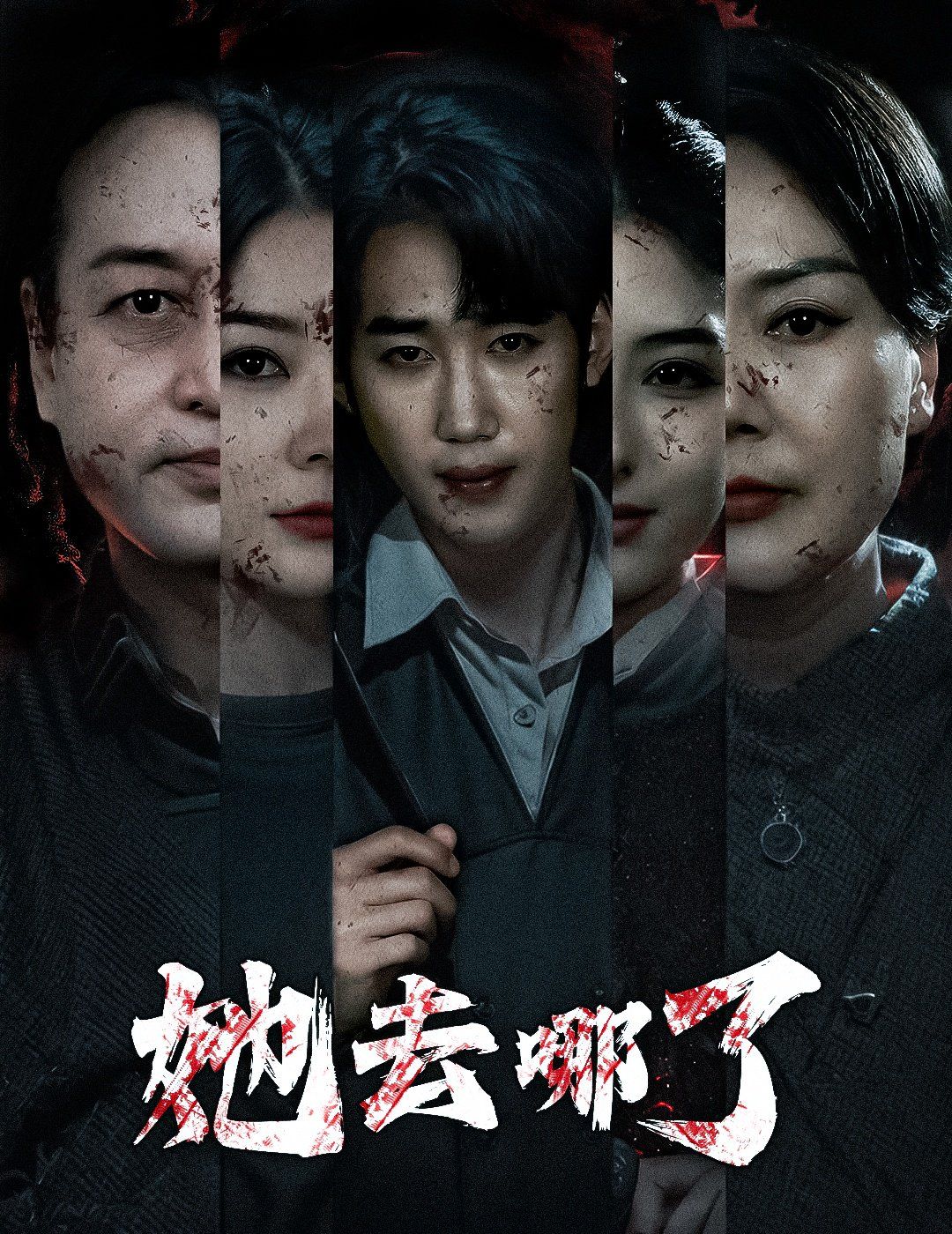 她去哪了 第1-20集