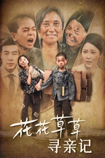 花花草草寻亲记 第1-20集