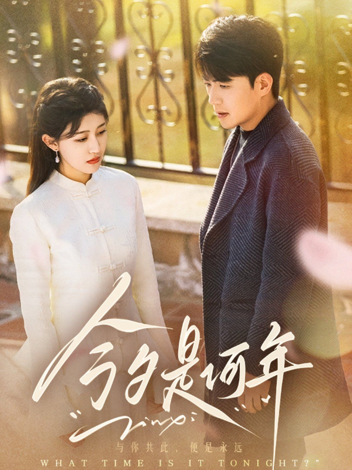 今夕是何年 第1-20集