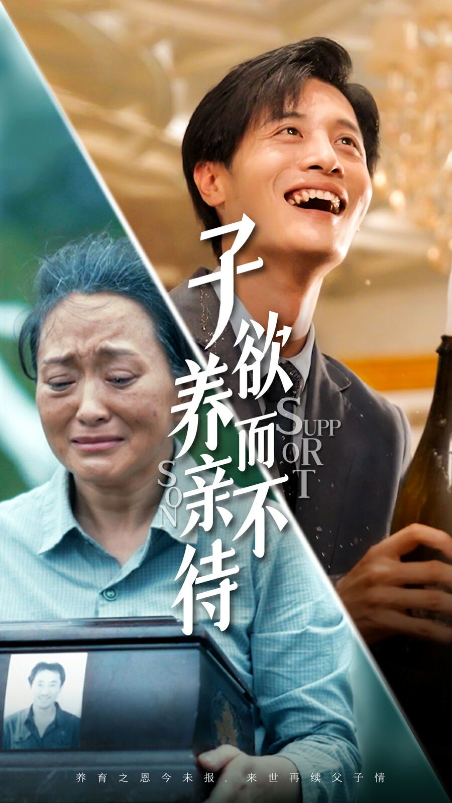 子欲养而亲不待 第1-20集