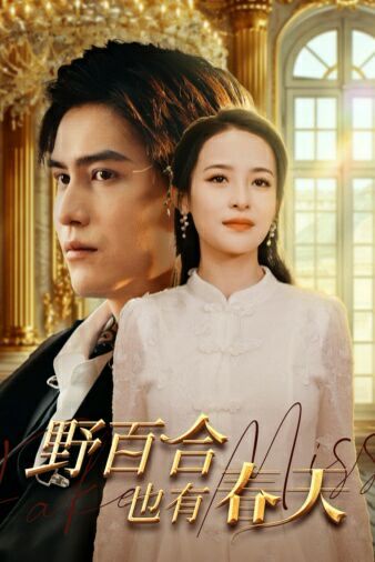 野百合也有春天 第1-20集