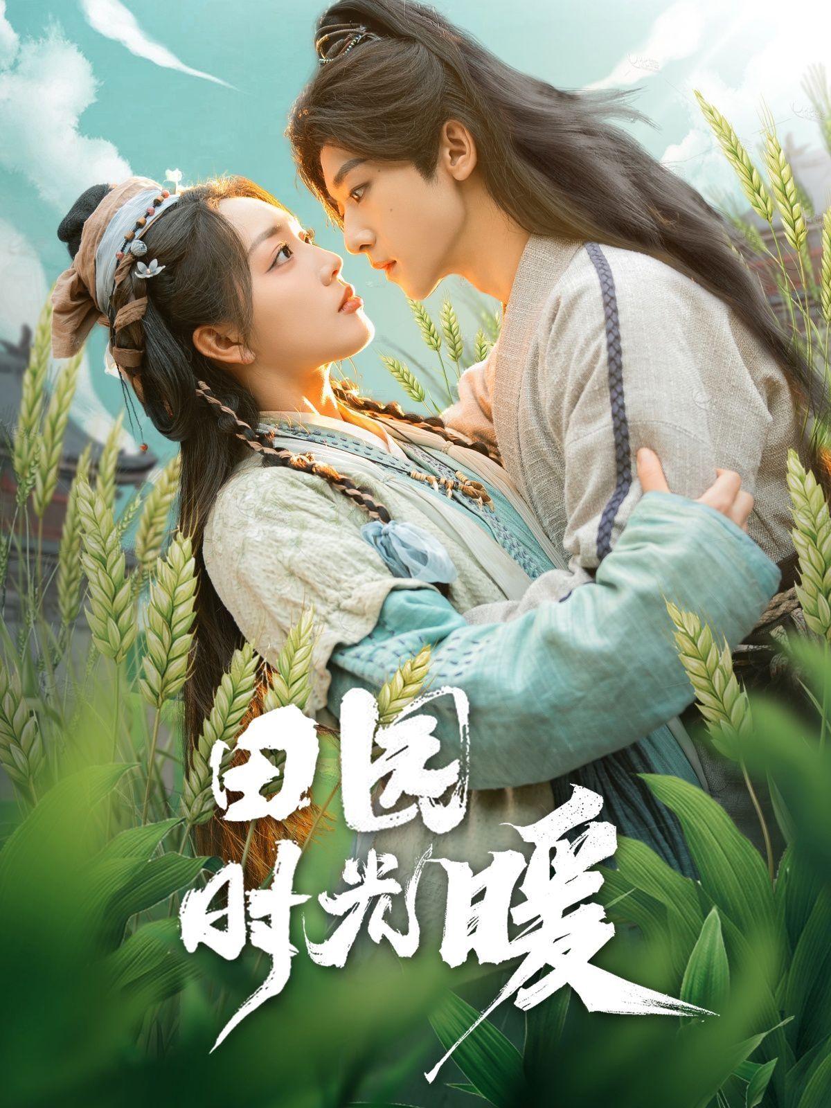 田园时光暖 第1-20集