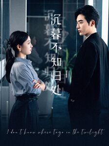 沉暮不知归处 第61-80集