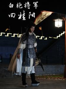白袍将军回桂阳 第1-20集