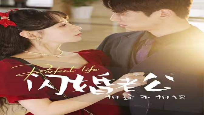 闪婚老公相逢不相识 第1-20集