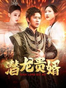 潜龙贵婿 第21-40集