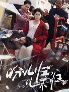 盼儿归儿未归 第1-20集