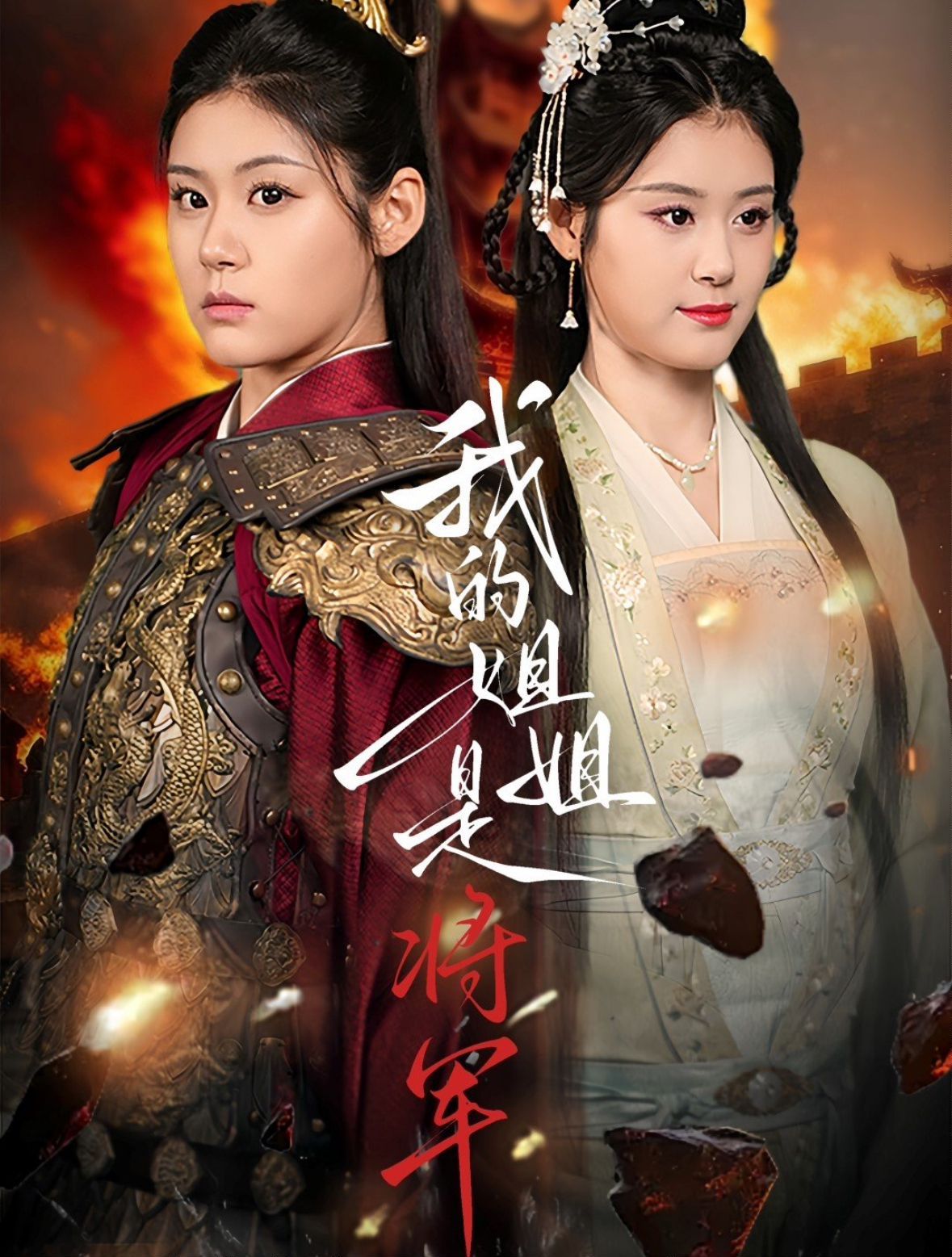 我的姐姐是将军 第1-20集