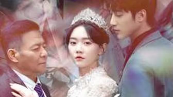 今宵尽欢颜 第1-20集