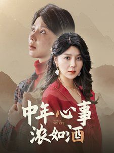 中年心事浓如酒 第1-20集