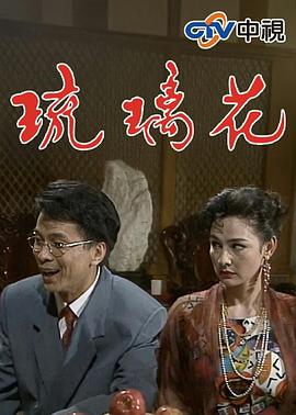 琉璃花 第21集