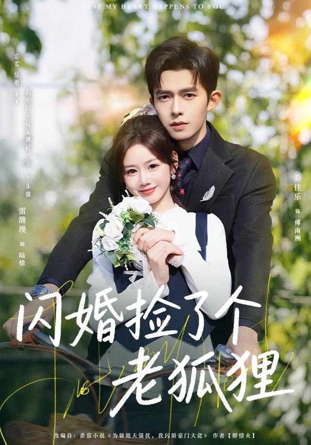 闪婚捡了个老狐狸 第16集