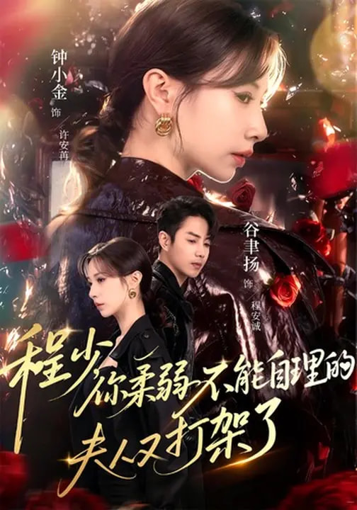 程少你柔弱不能自理的夫人又打架了 第29集