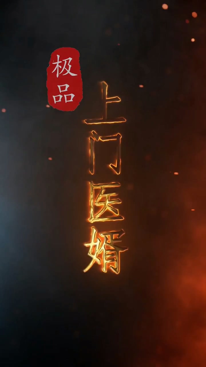 极品上门医婿 第30集