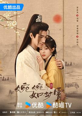 婉婉如梦霄 第08集