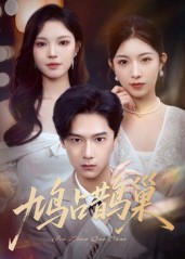 鸠占鹊巢，顶流夫人的致命陷阱(全集)